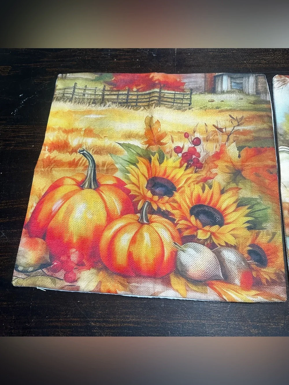 Autumn Accent Pillow Covers